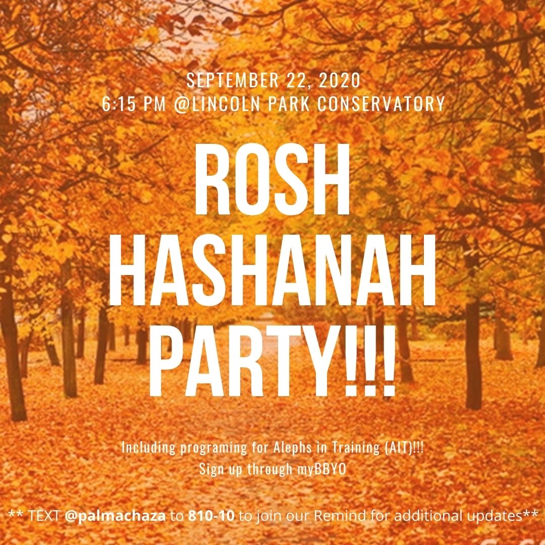 Palmach Rosh Hashanah Party image