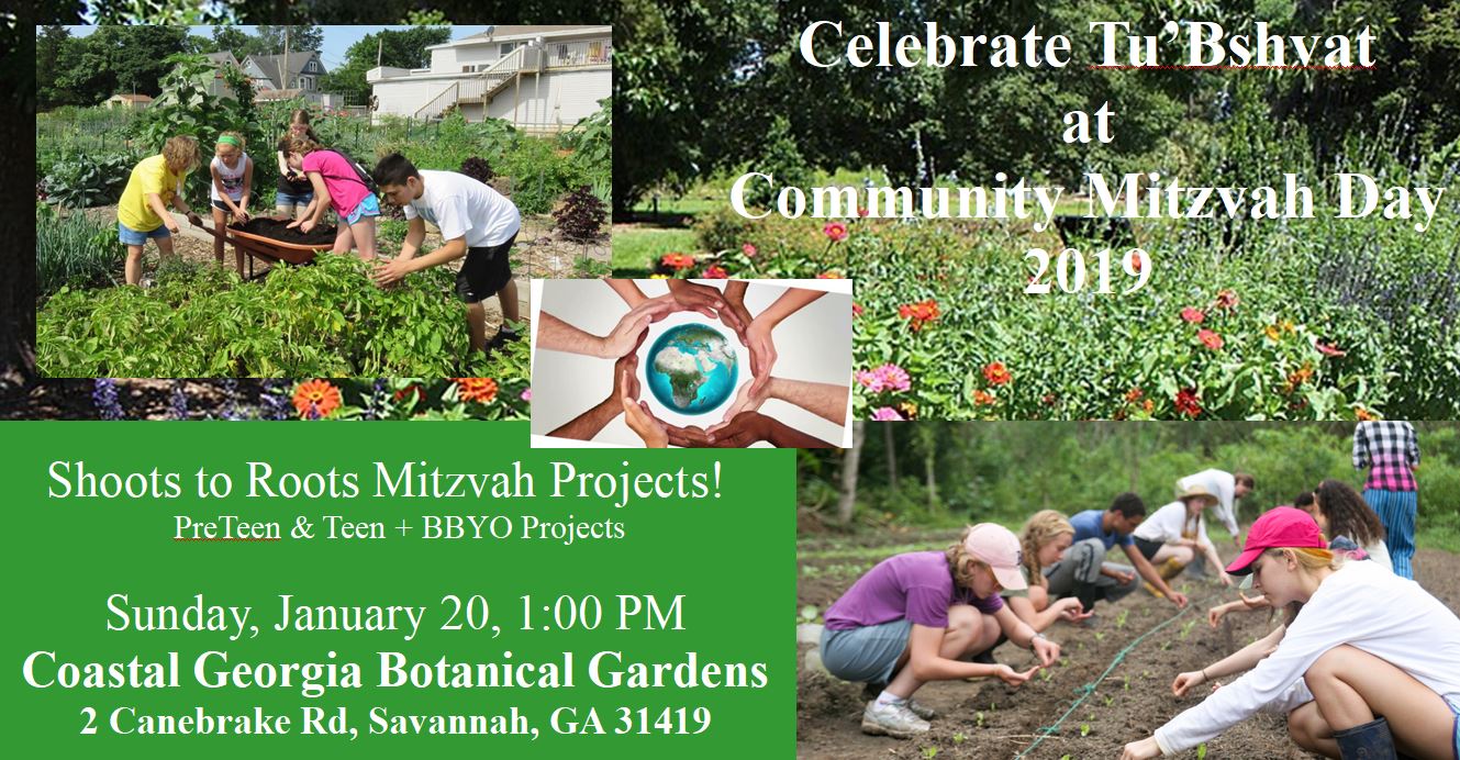 Community Mitzvah Day- Tu'Bshvat image